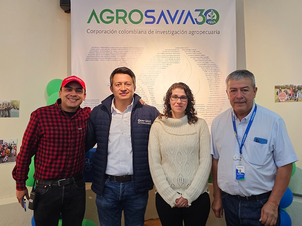Nuevas Variedades Papa Criolla5 AGROSAVIA
