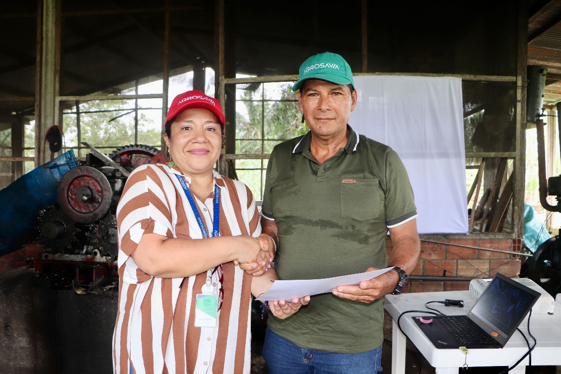 Certificacion Caña8 AGROSAVIA