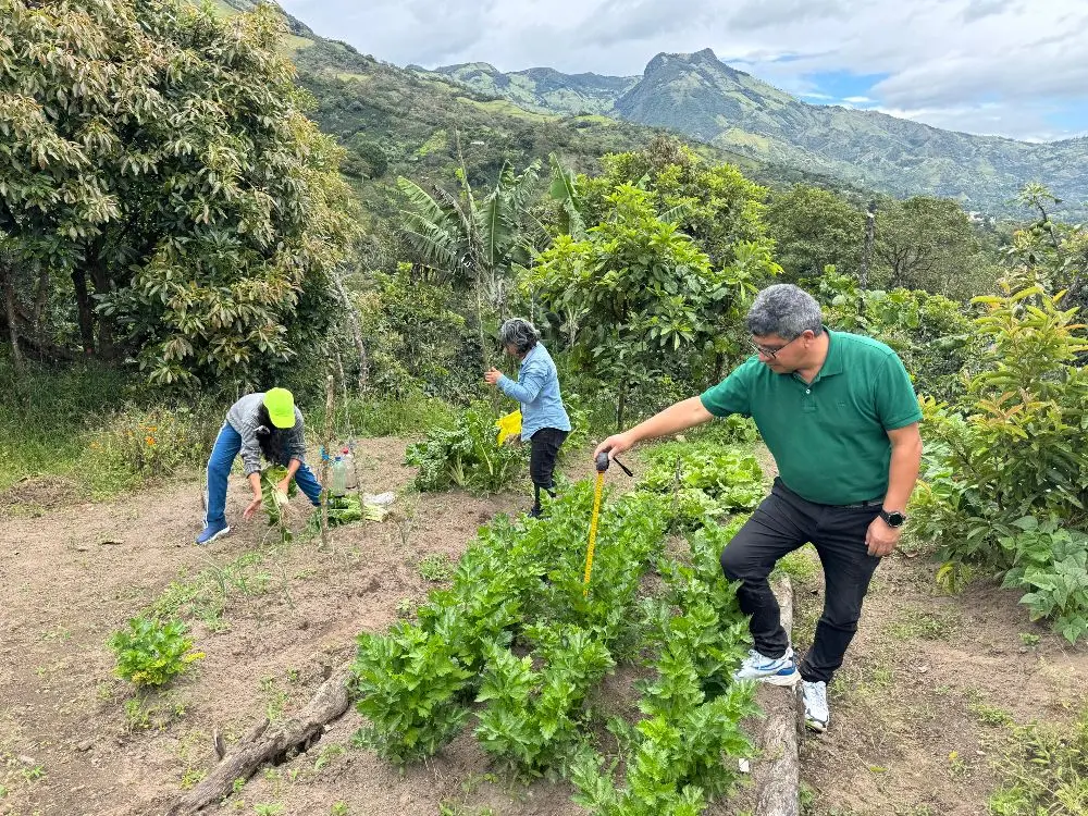 Proyecto Fortalece La Soberanía Alimentaria A Través Del Diseño Participativo De Sistemas Agroecológicos En La Zona De Reserva Campesina De Colón Génova3 Fotor Webp
