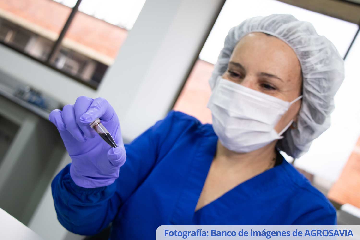 Banco De Imágenes AGROSAVIA (2)