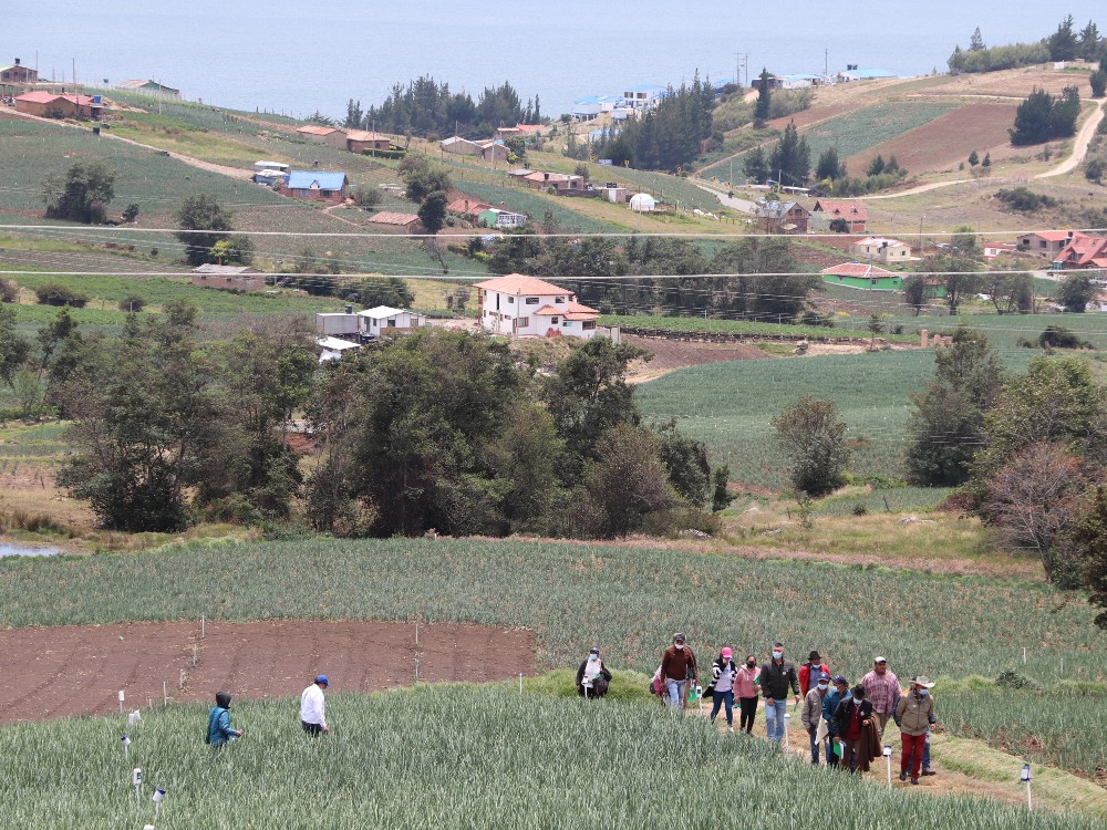 Productores De La Cuenca Del Lago De Tota Comprometidos Con Alcanzar La Sostenibilidad AGROSAVIA