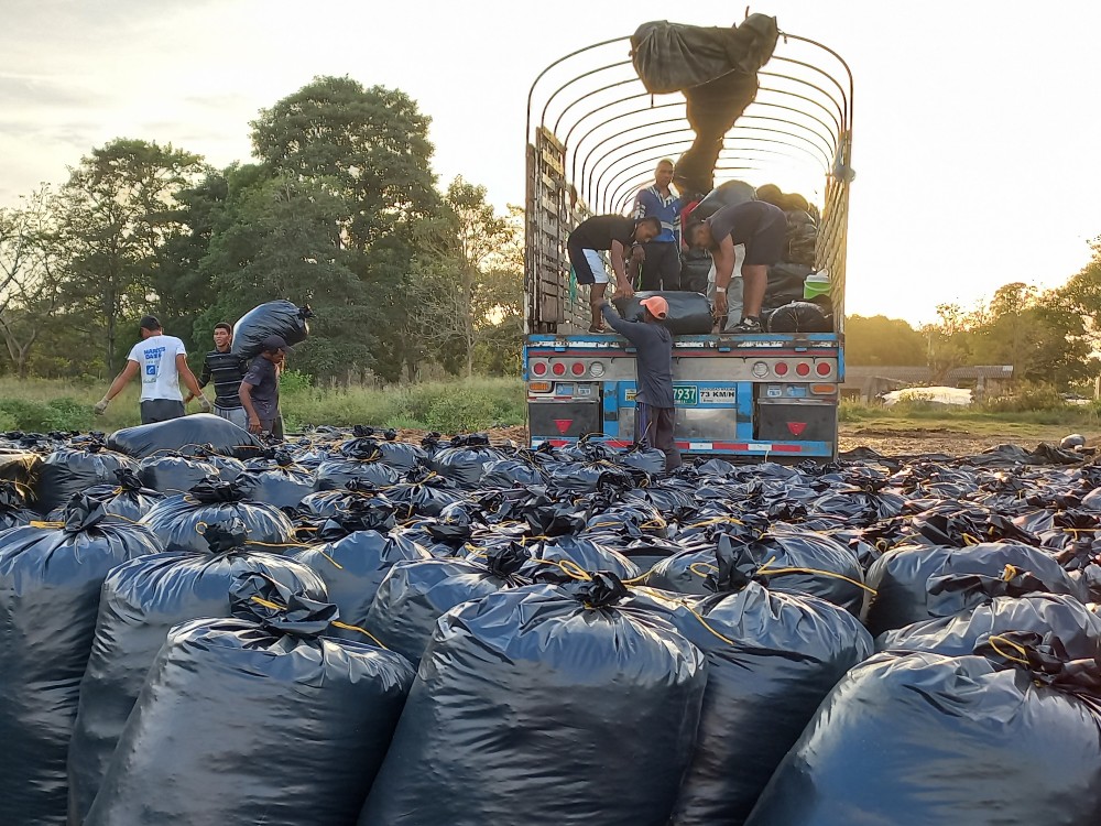Se entregaron 5085 toneladas de silo de maíz a 5670 productores ganaderos