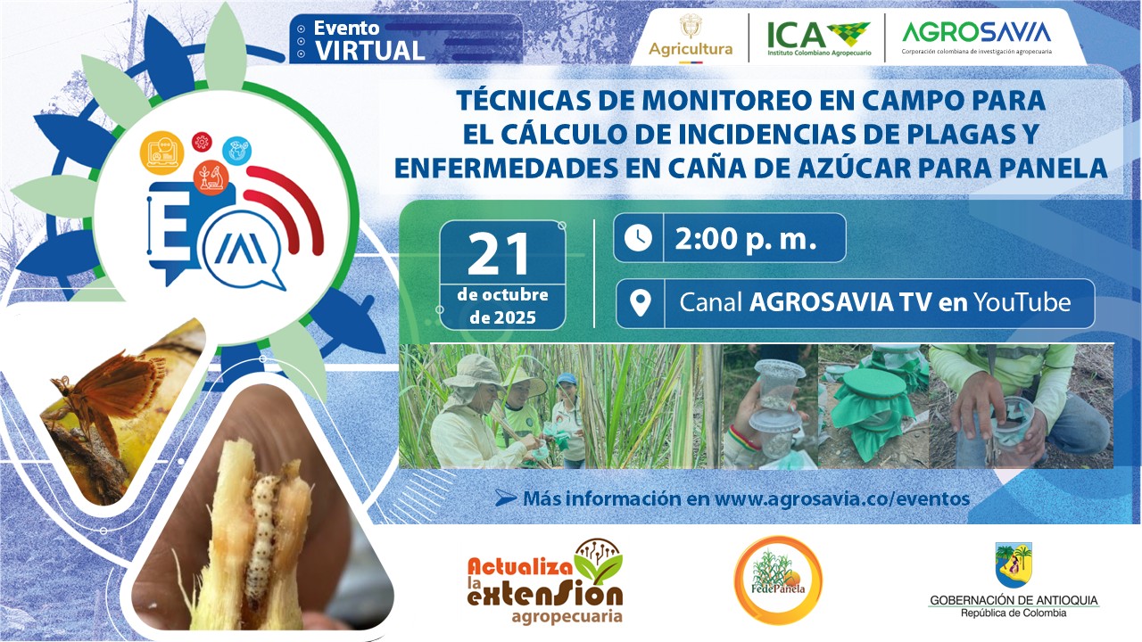 Evento 21 octubre
