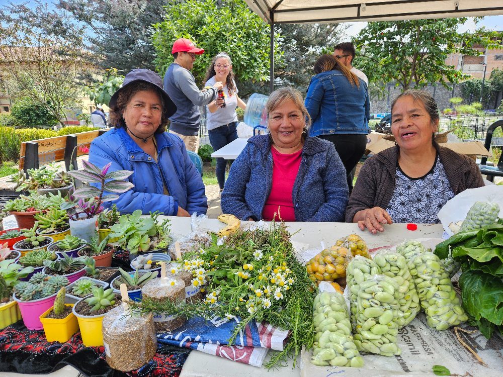 Seguridad Alimentaria3 AGROSAVIA