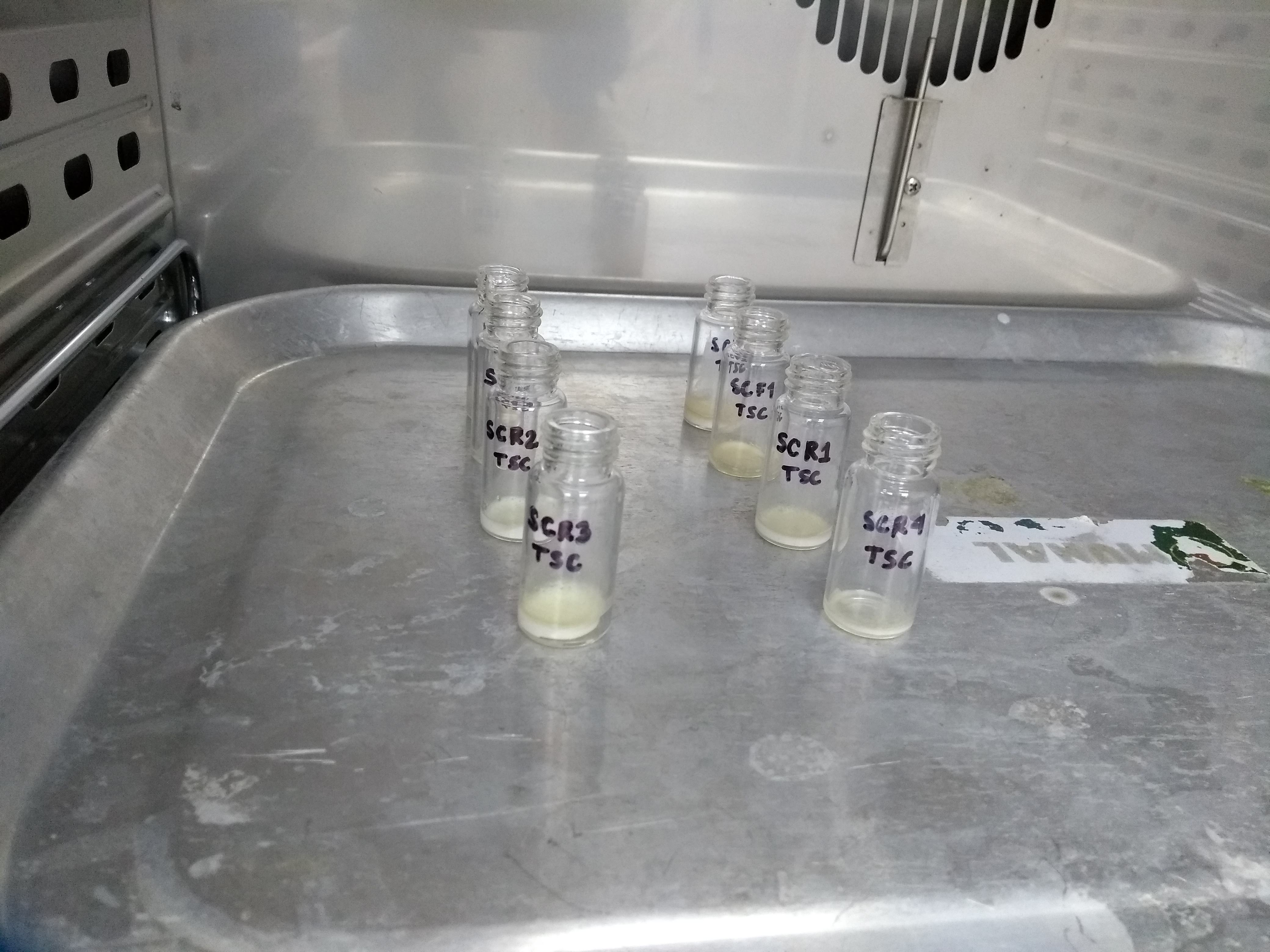 1. Pesar Muestras TSC