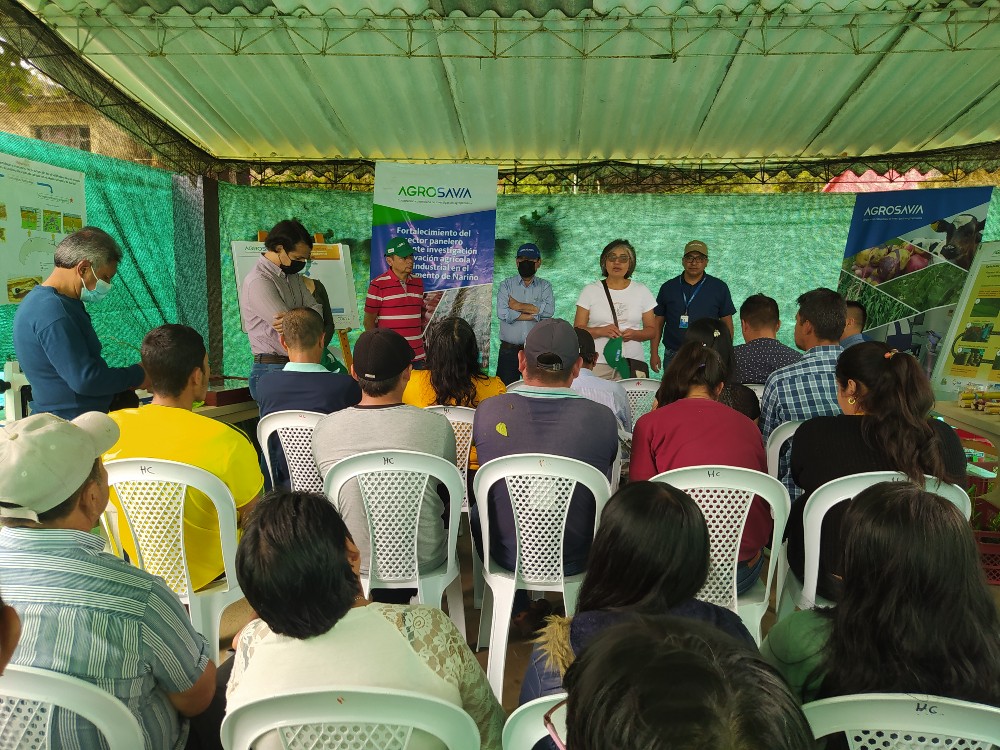 Eventos De Clausura Mayo3 AGROSAVIA