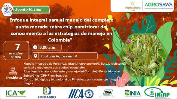 Evento 07 octubre