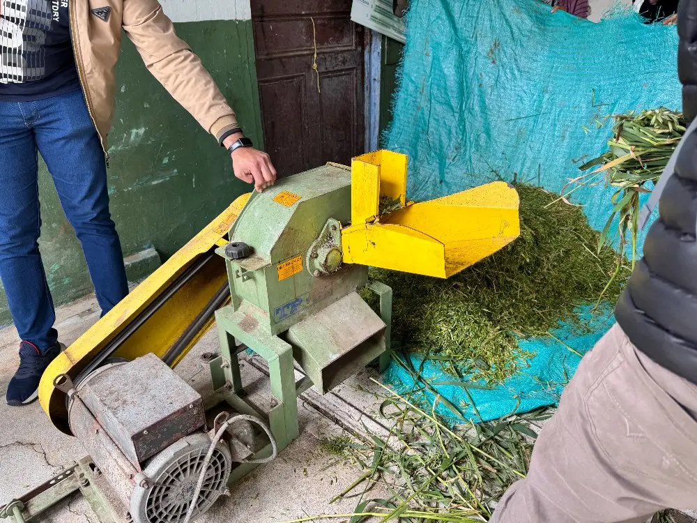 Comunidad Kamentsá y AGROSAVIA unen saberes en taller de ganadería sostenible