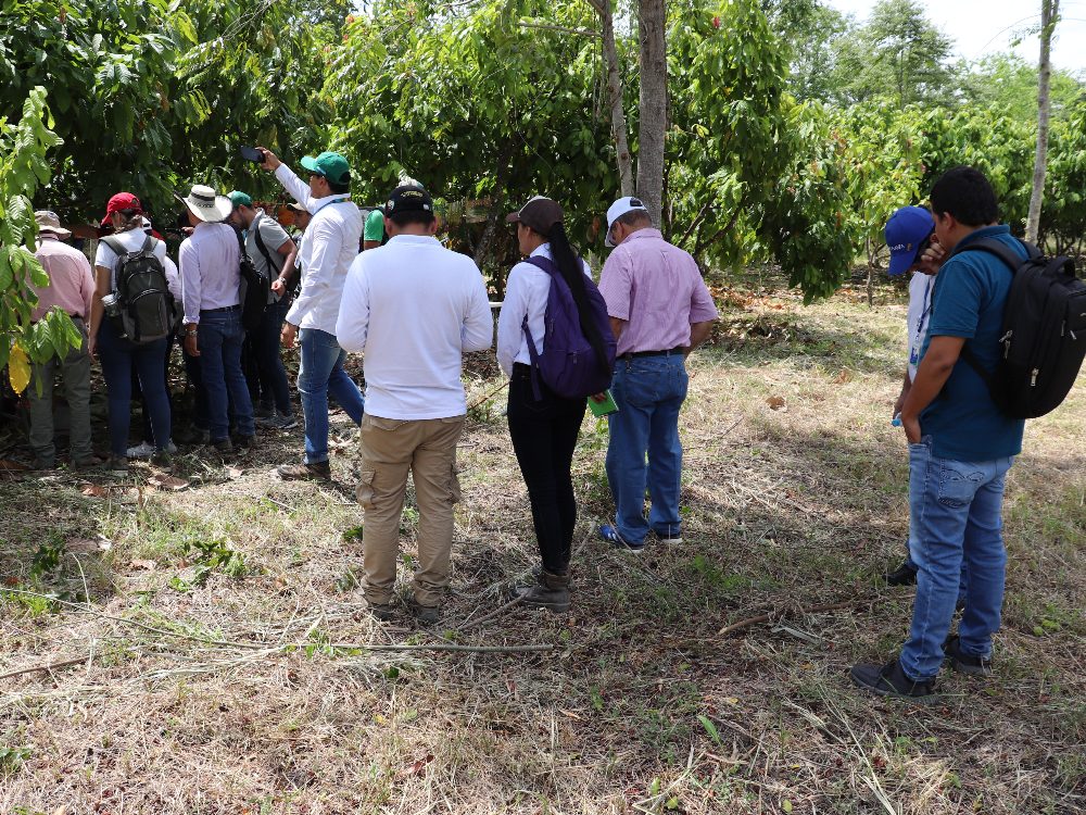 En el agro también hablamos de apropiación social del conocimiento