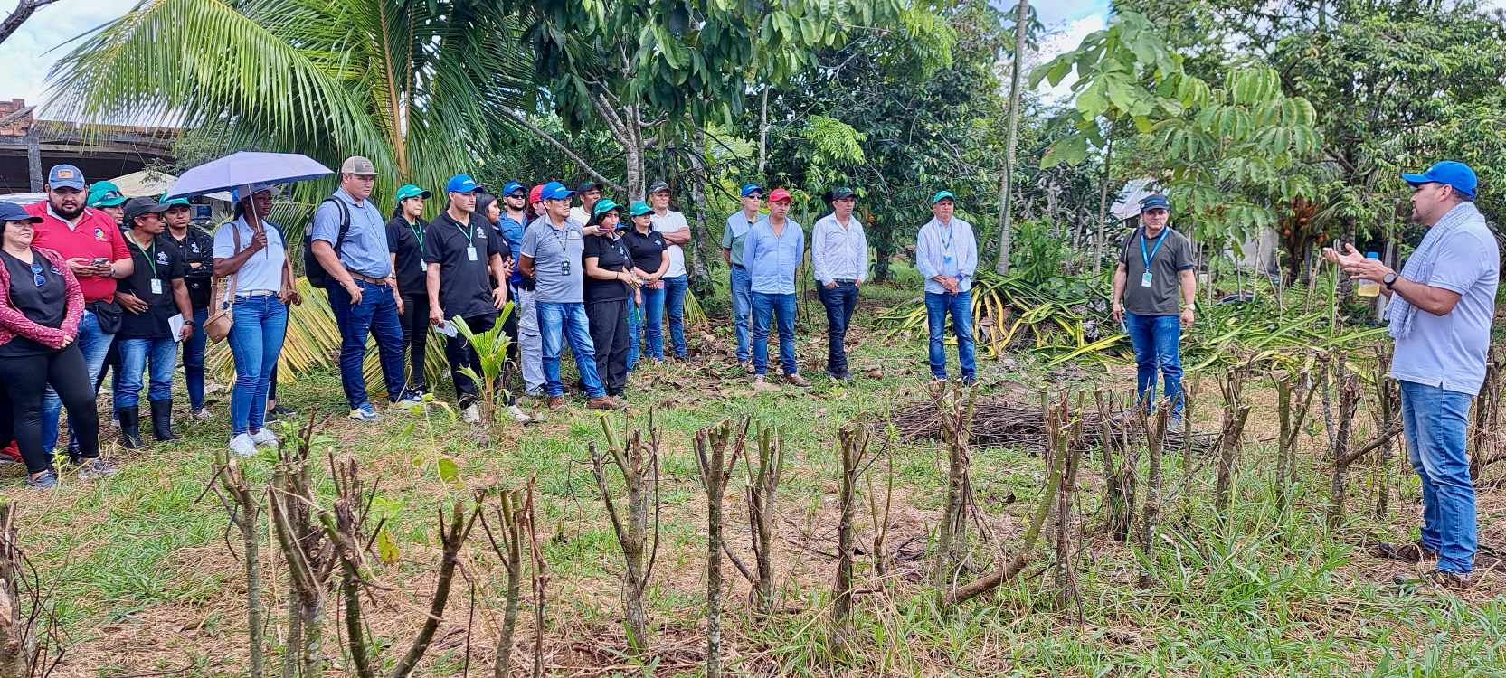 Estrategias para la gestión del sistema ganadero doble propósito ante la variabilidad climática en el departamento del Putumayo
