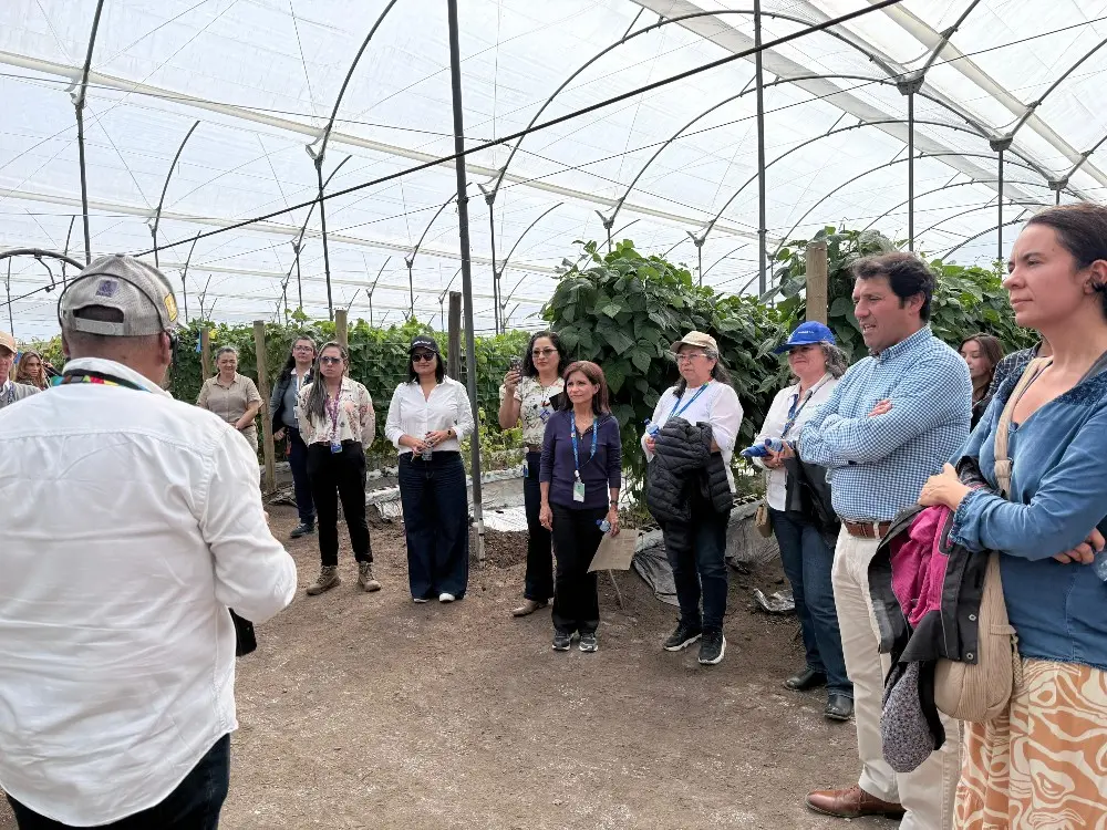 AGROSAVIA Y CIAT BPI 20264 Fotor Webp