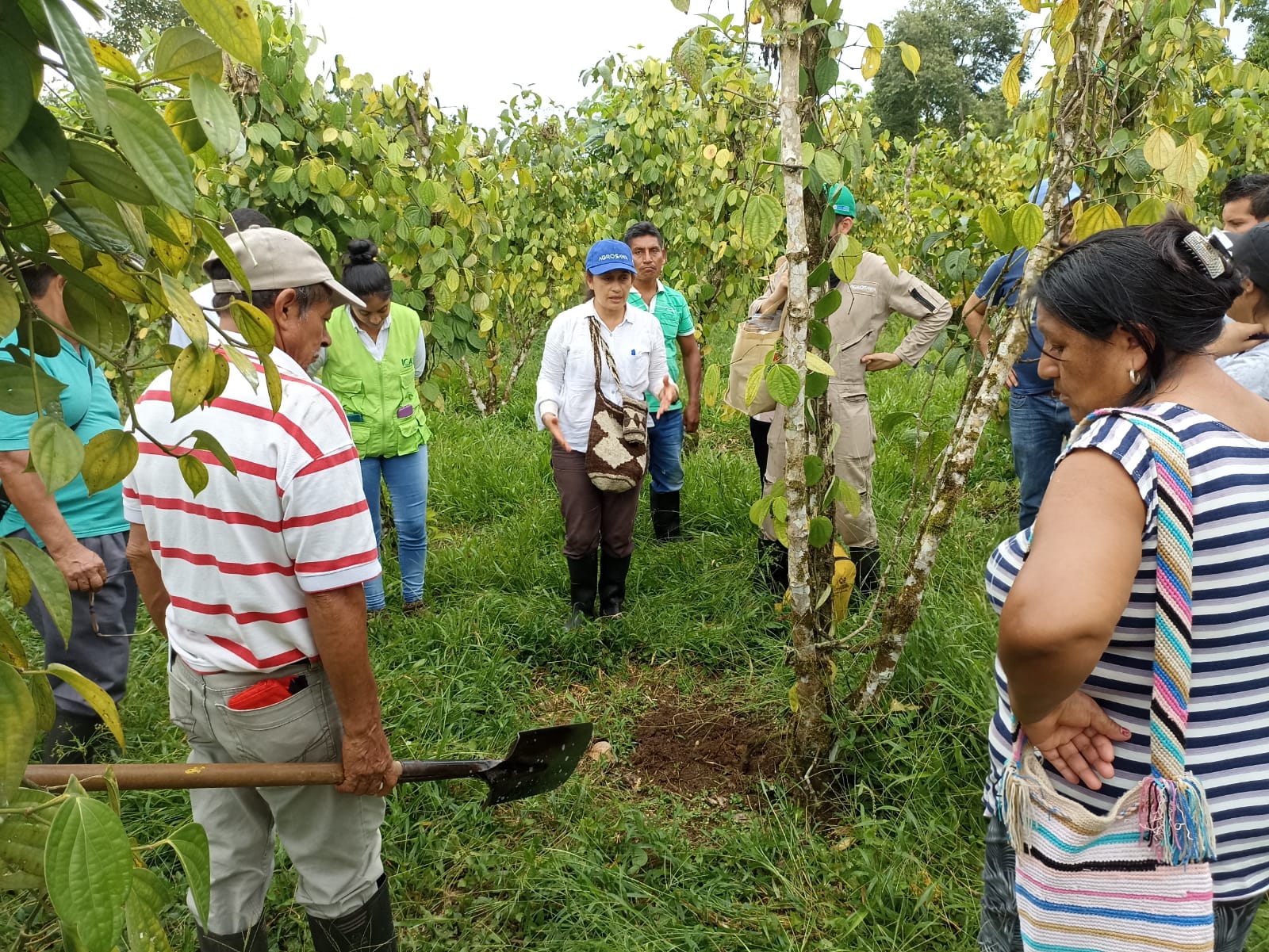Avanaza Proyecto UNODC2