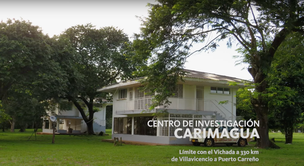 Fallecimiento de Colaborador en Carimagua