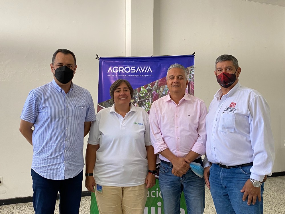 AGROSAVIA presenta proyecto en cebolla ocañera para Norte de Santander