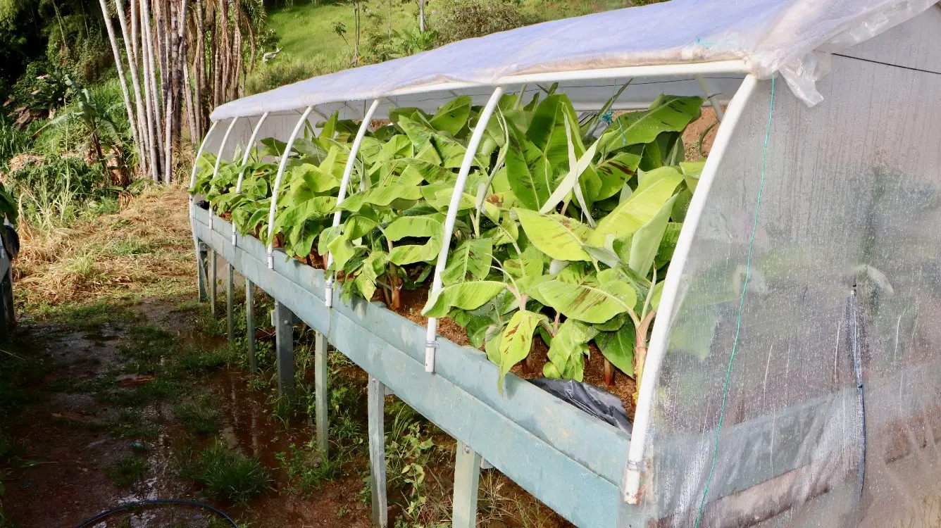 Ciencia, Innovación Y Diálogo De Saberes Al Servicio Del Campo3 Fotor Webp