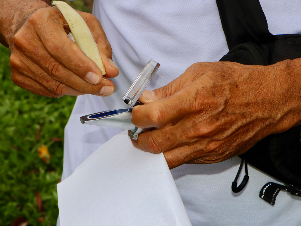 Evaluación Fitosanitaria E Índices De Madurez De La Variedad De Caña CC 93 7711, Una Práctica Participativa Con Los Productores En Caquetá9 AGROSAVIA