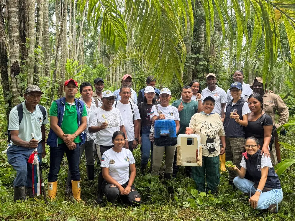 AGROSAVIA fortalece la conservación y producción de chontaduro