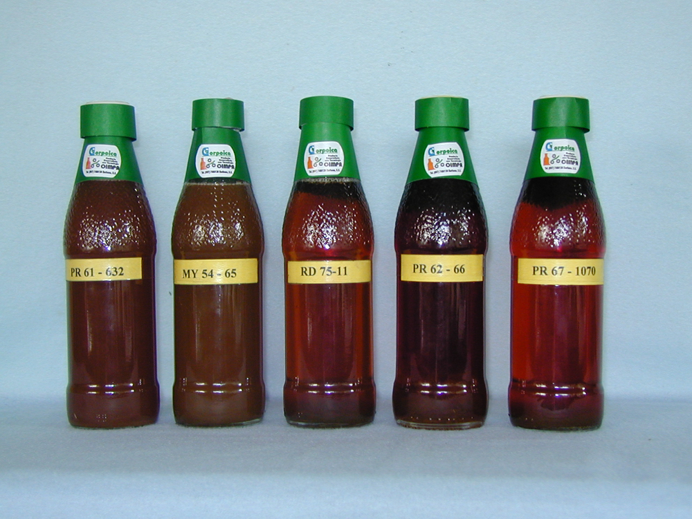 Miel de caña invertida, una alternativa de diversificación de los productos