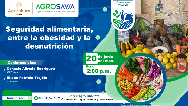 Evento 20 junio