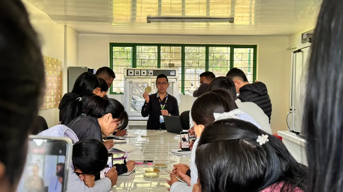 Visitas Obonuco3 Fotor Webp