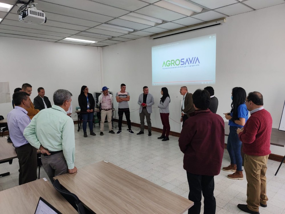 Se Hornea El Plan Estratégico Para El Fortalecimiento De La Cadena De Valor De La Achira3 AGROSAVIA