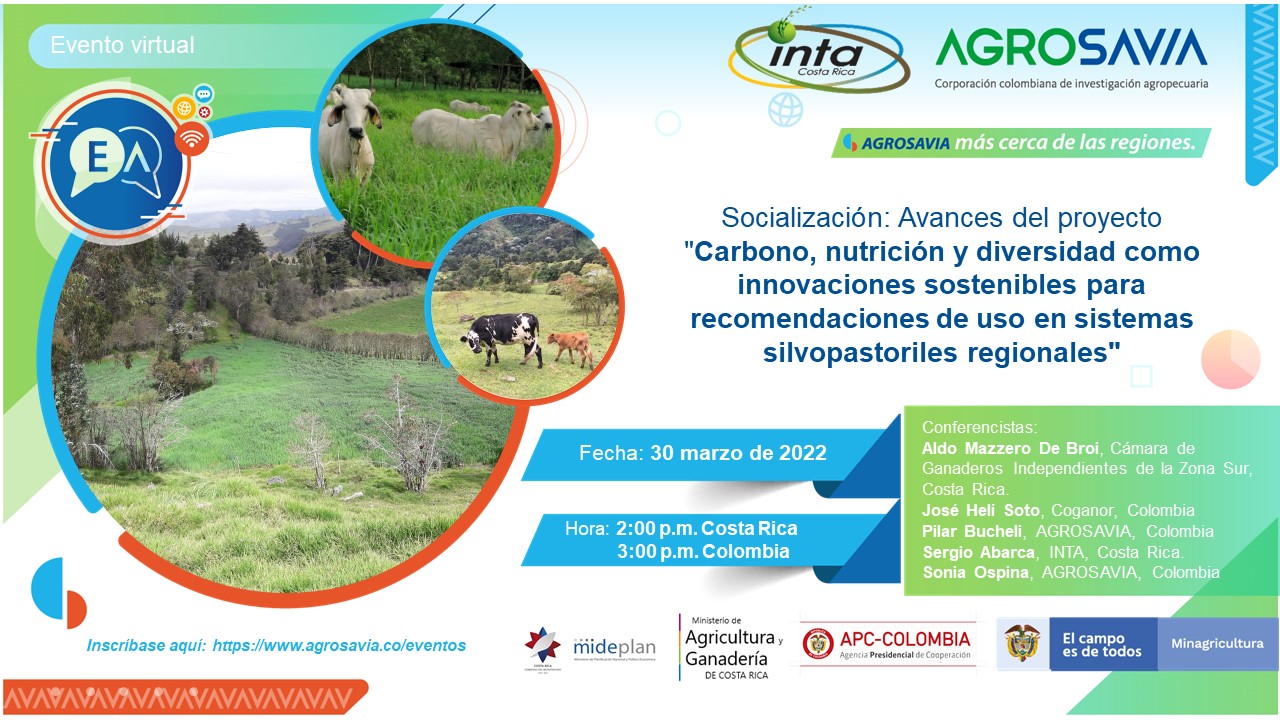 Inicia proyecto de AGROSAVIA en cooperación con el INTA de Costa Rica sobre innovaciones sostenibles para sistemas silvopastoriles en Colombia