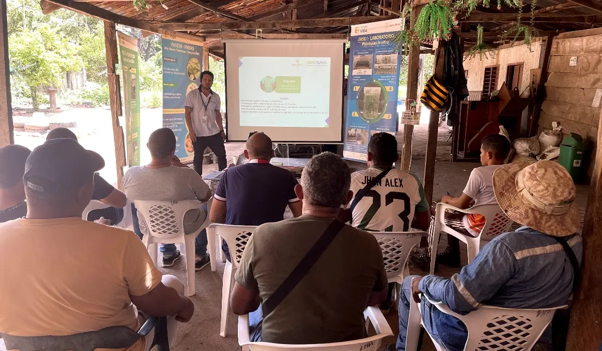 Img 6078 Fotor 20251229173659