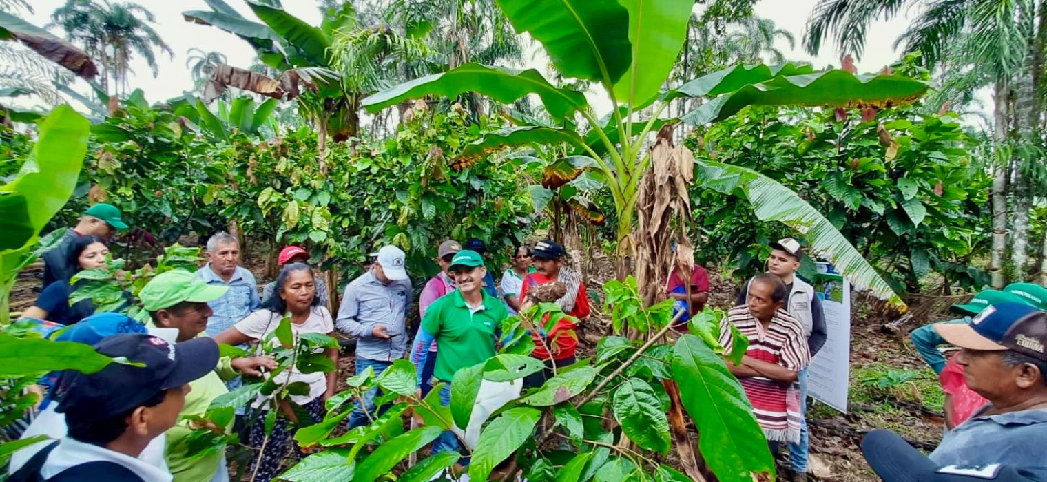 Productores Del Plan De Vinculación Territorial Putumayo Fase II4 AGROSAVIA