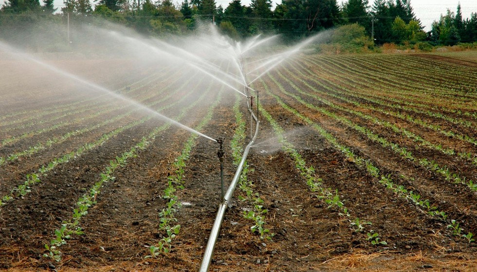 Seminario Nacional de suelos y agua