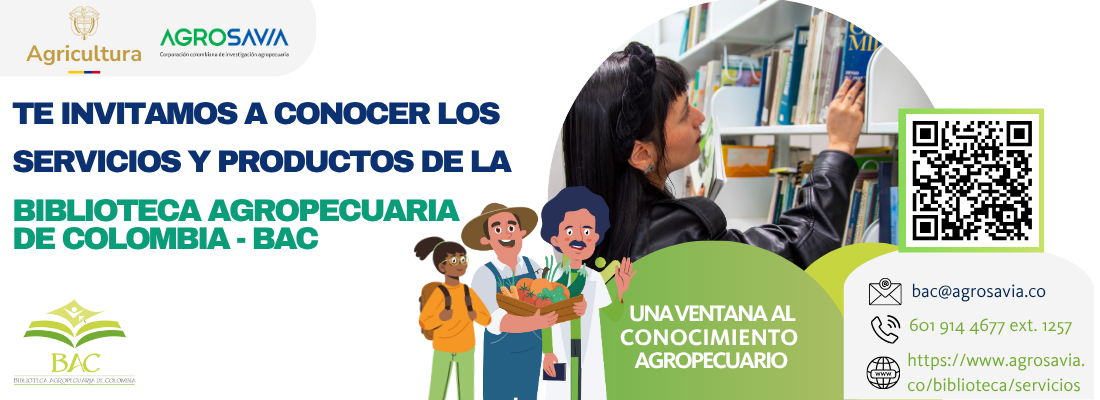Servicios