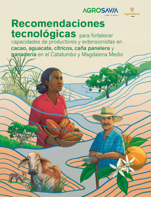Recomendaciones