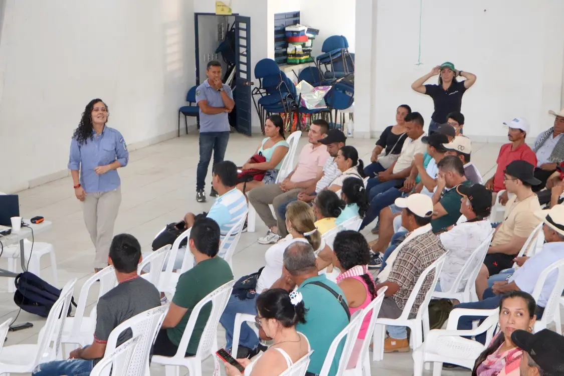 Proyecto De Conservacion5 Fotor Webp