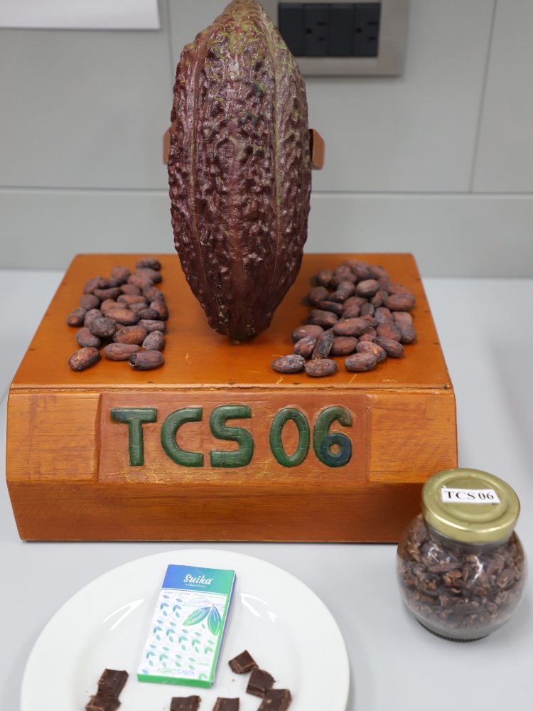 Suika Recibe Reconocimiento En Concurso De Chocolate3 AGROSAVIA