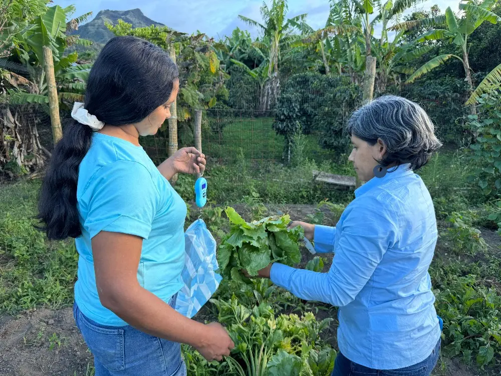 Proyecto Fortalece La Soberanía Alimentaria A Través Del Diseño Participativo De Sistemas Agroecológicos En La Zona De Reserva Campesina De Colón Génova5 Fotor Webp