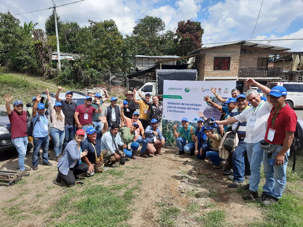 SGR Aguacatehass5 AGROSAVIA