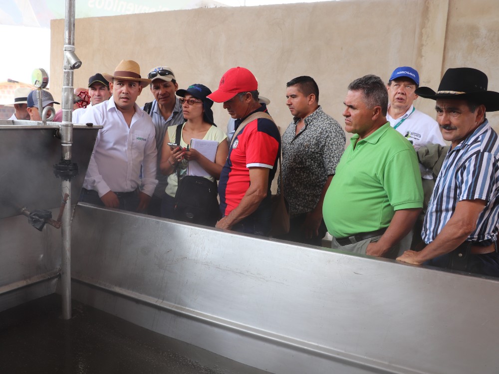 Atención Paneleros, Disponible Una Hornilla Más Productiva, Eficiente Térmicamente Y Sostenible6 AGROSAVIA
