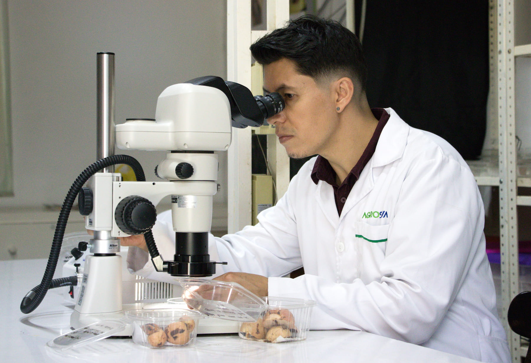 Trabajo En Laboratorio