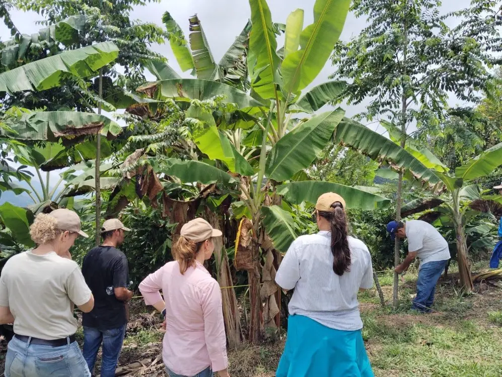 AGROSAVIA Fortaleció La Formación Internacional En Cacao 5 Fotor Webp