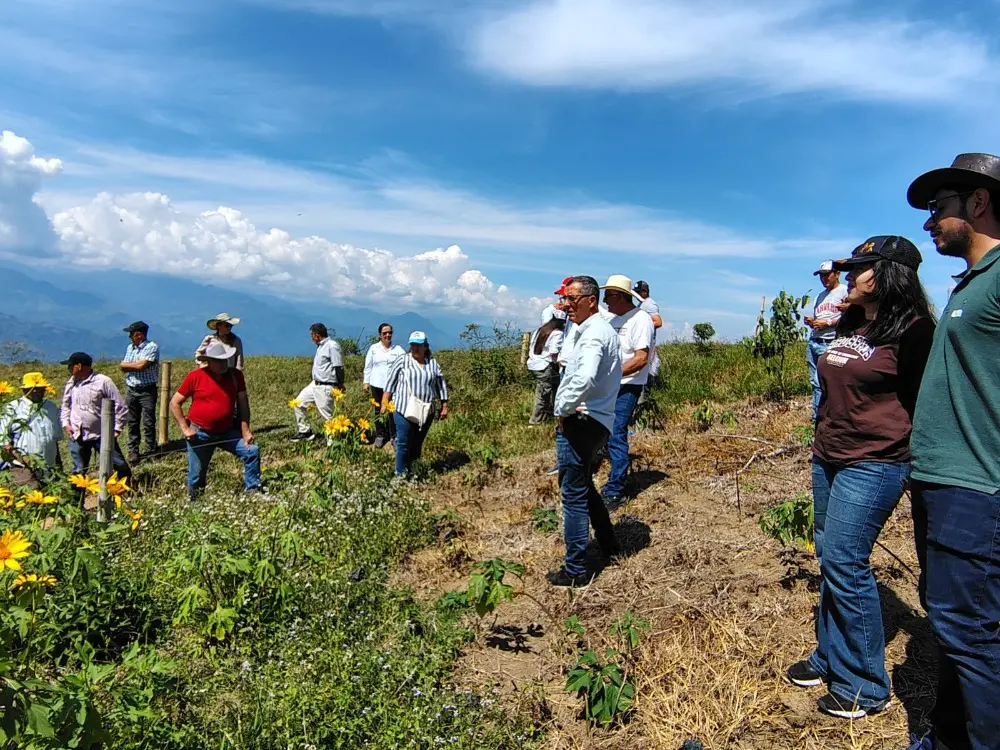 AGROSAVIA y Fedegan - FNG siembran un futuro sostenible para la ganadería santandereana