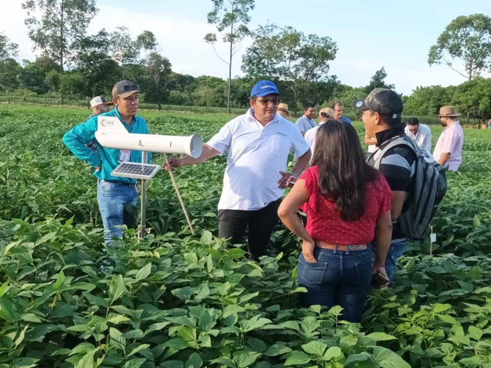 seminario sobre gestión del riesgo fitosanitario para América Latina y el Caribe