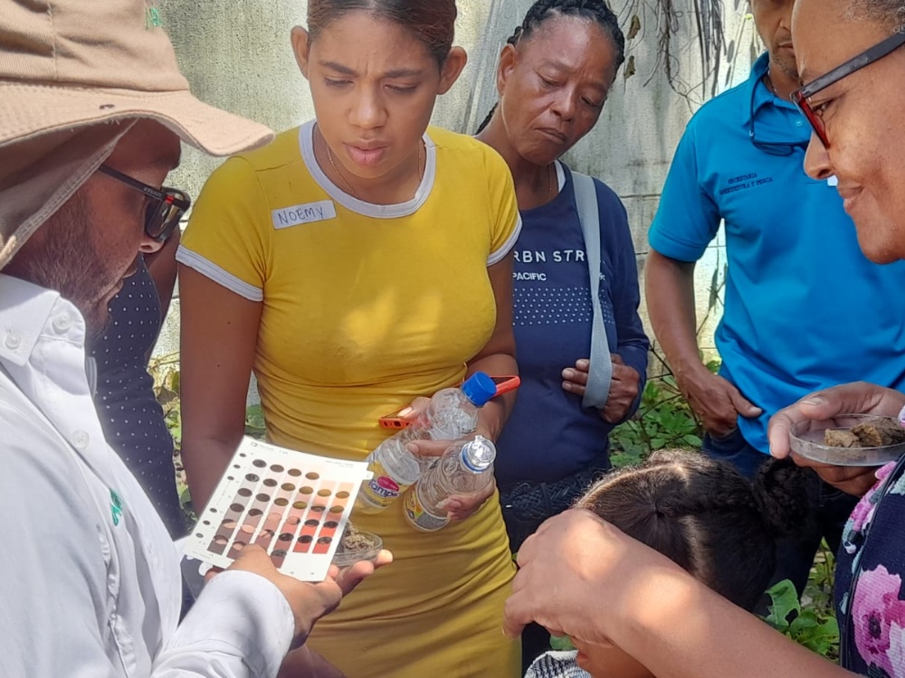AGROSAVIA culmina primer proyecto de vinculación de transferencia de tecnologías en la isla de San Andrés 