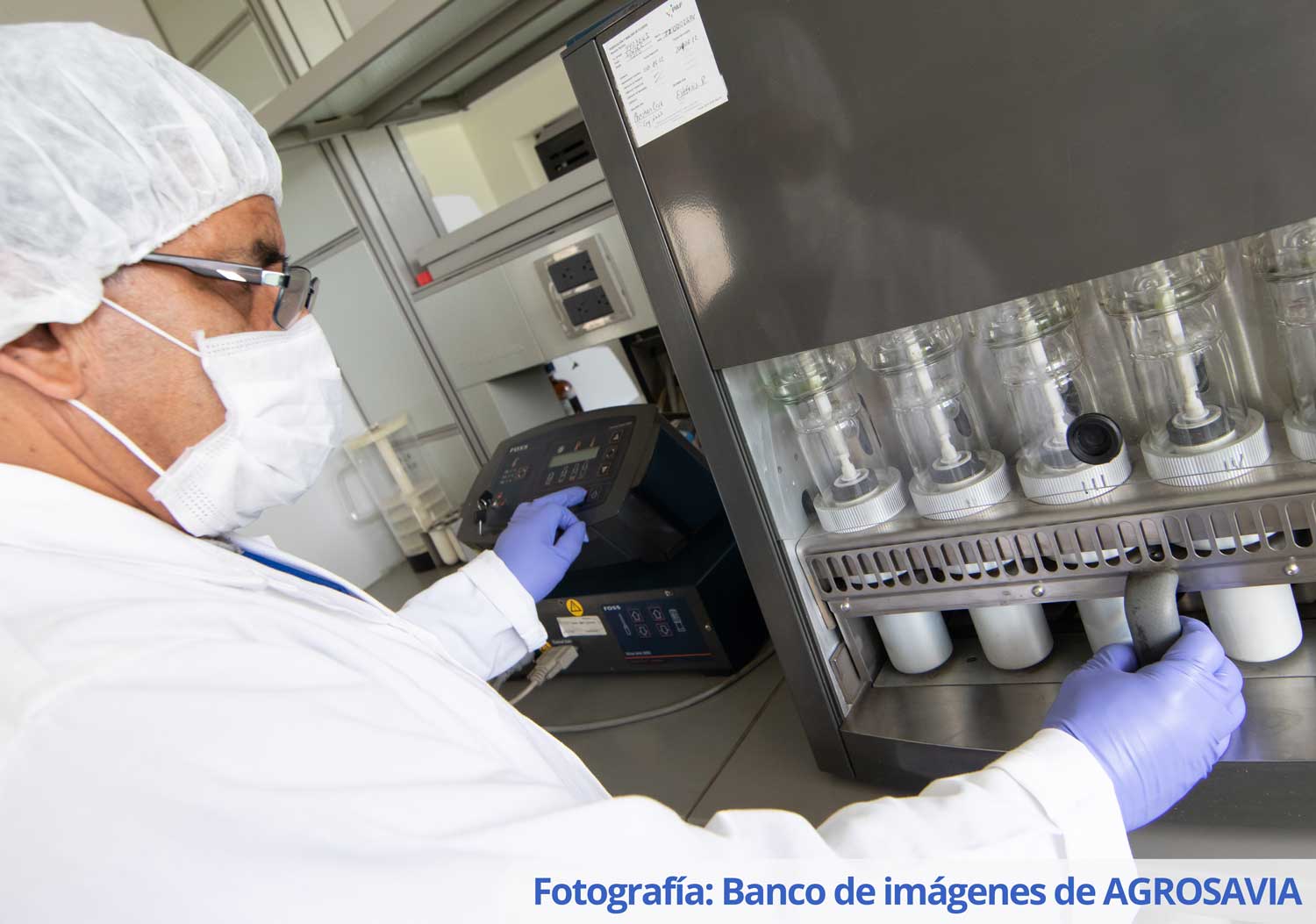 Banco De Imágenes AGROSAVIA (3)