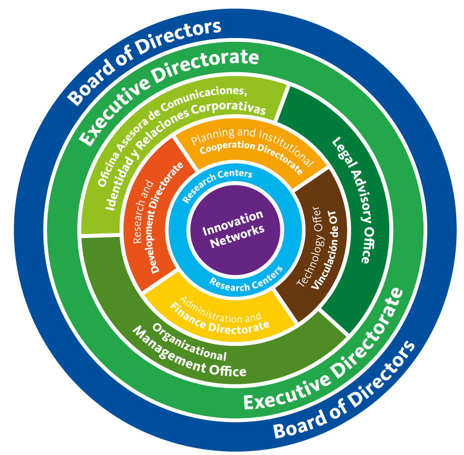 General Organizational Structure