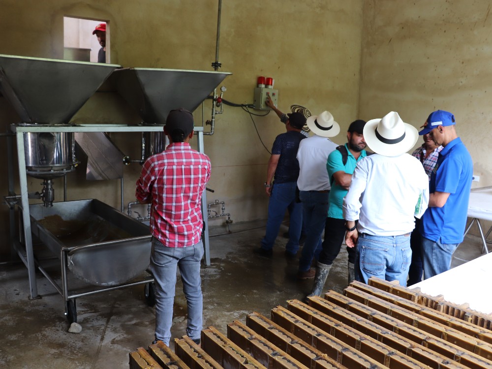 Atención Paneleros, Disponible Una Hornilla Más Productiva, Eficiente Térmicamente Y Sostenible8 AGROSAVIA