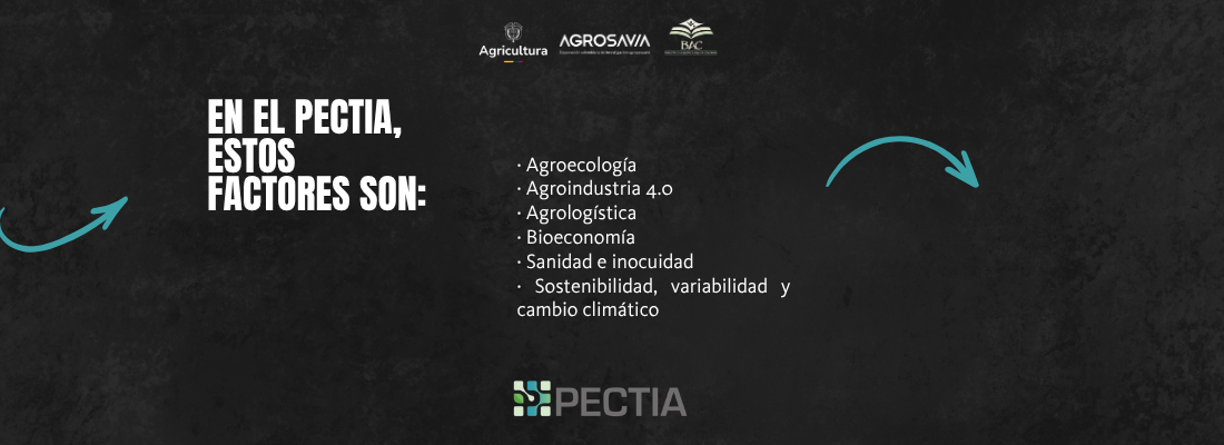 PECTIAFE3