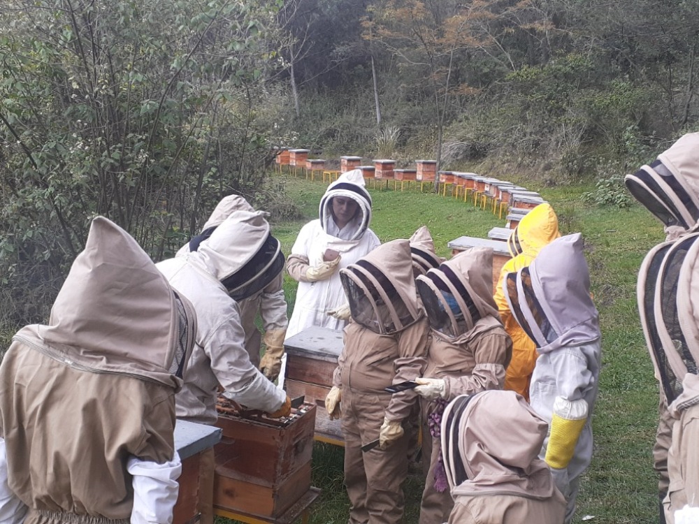 Apicultores colombianos se preparan para mejorar prácticas en el cuidado de las abejas
