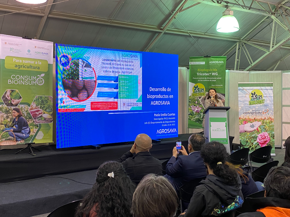 Nuevas opciones para el control biológico en el cultivo de papa