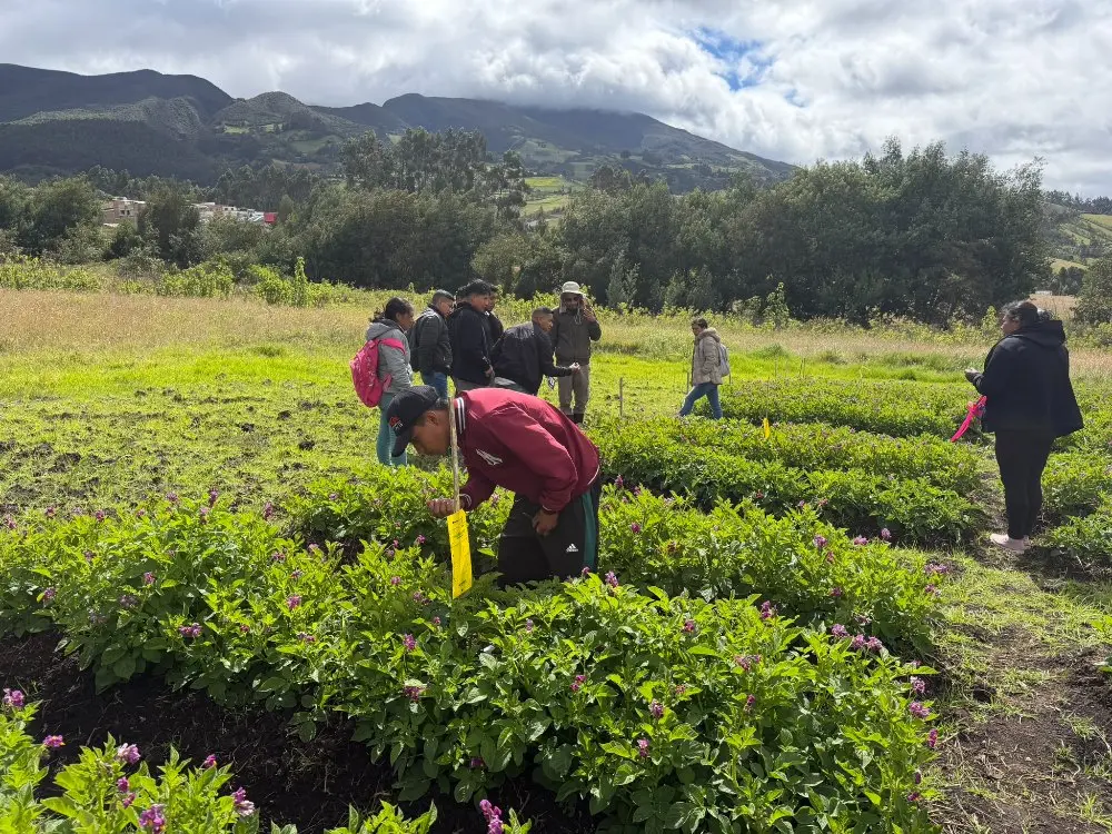 AGROSAVIA Fortalece El Conocimiento Agropecuario 5 Fotor Webp