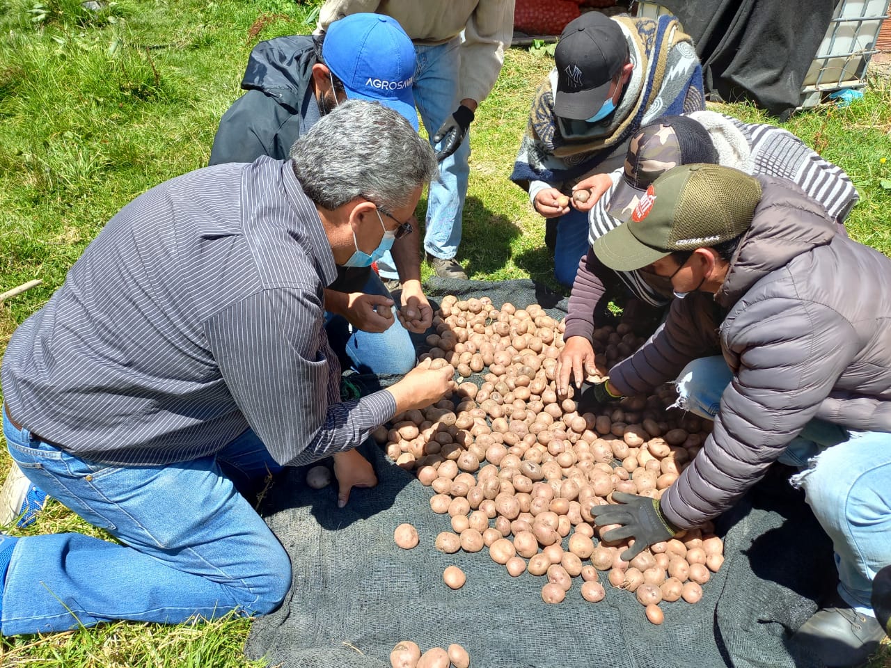 3.12 Selección De Semilla (2)