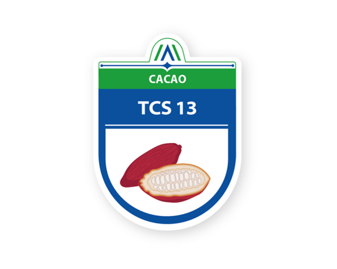Corpoica TCS 13 (Theobroma Corpoica La Suiza)